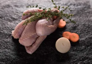  Bio Grill-Güggel 